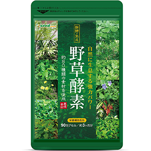 효소다이어트 - 야소코소 12개월