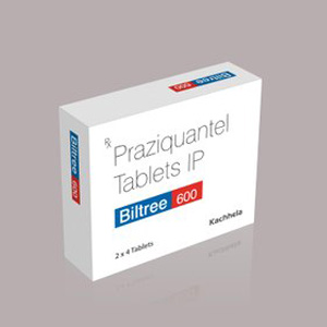 프라지콴텔 빌트리 600mg 48정